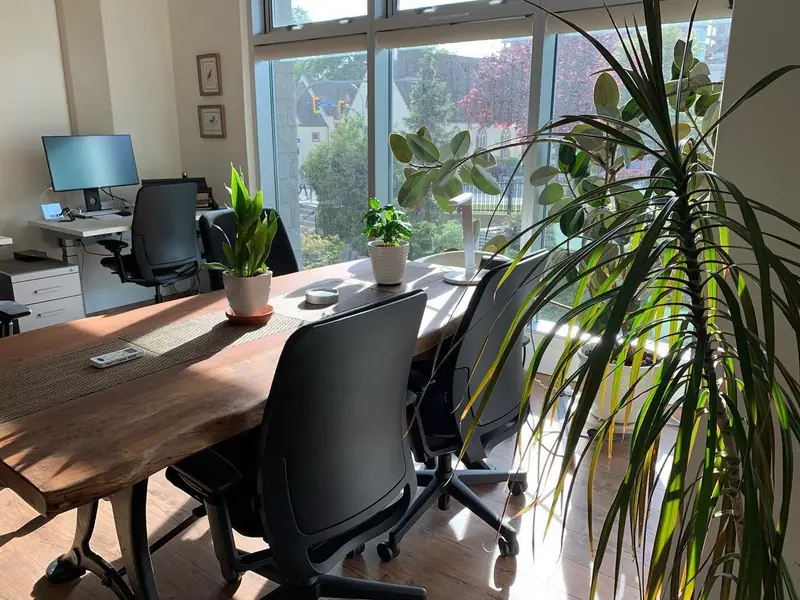The Digital Desks office: the long wooden shared desk by the tall windows